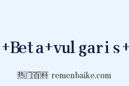 Beta vulgaris 是什么意思的图片